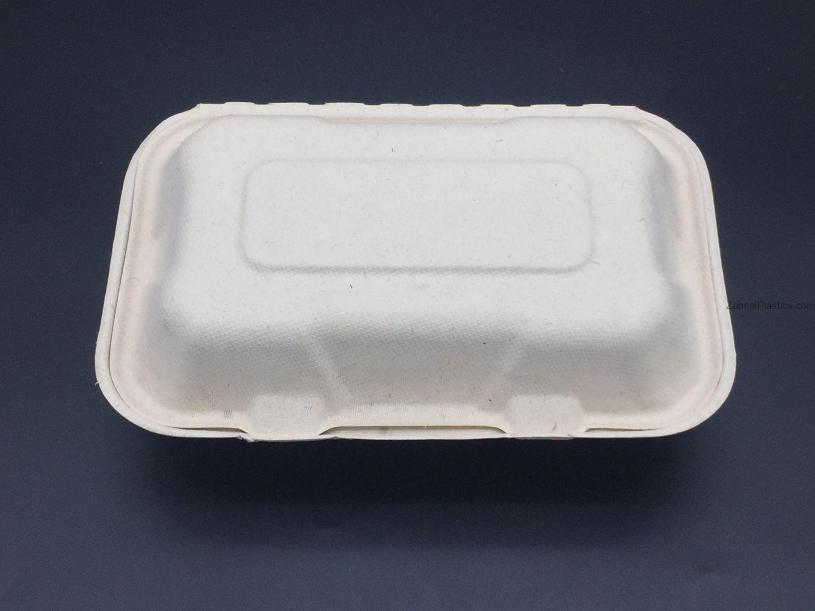 Bio Degradable Lunch Box 9″