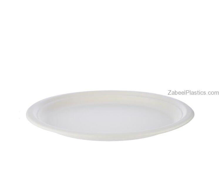 Bio Degradable Plate 10″