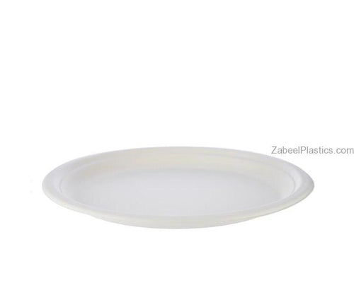Bio Degradable Plate 10″