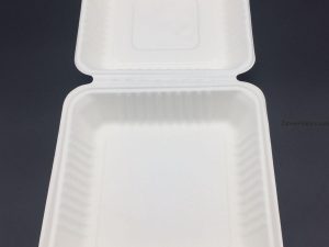 Bio Degradable Container 10″
