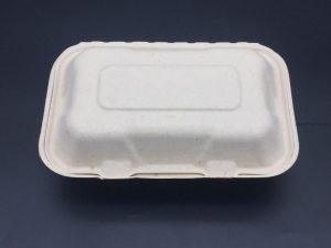 Bio Degradable Lunch Box 9″