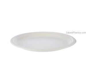 Bio Degradable Plate 10″